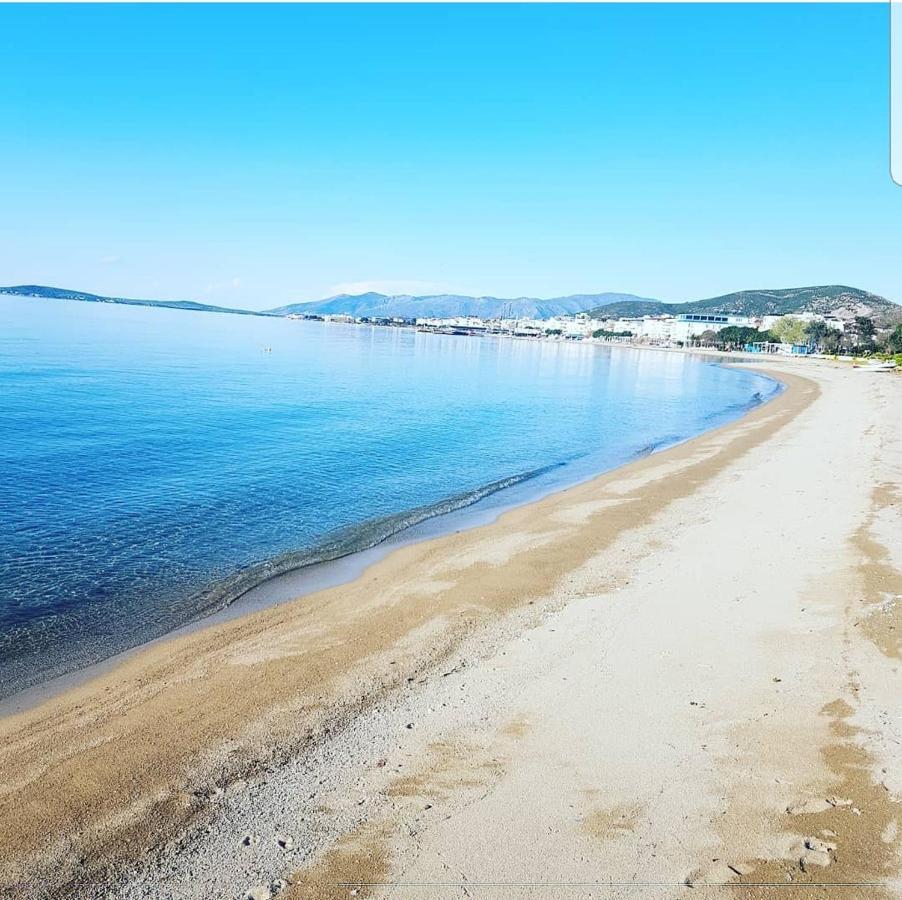 Avsa Motel Προκόννησος Εξωτερικό φωτογραφία